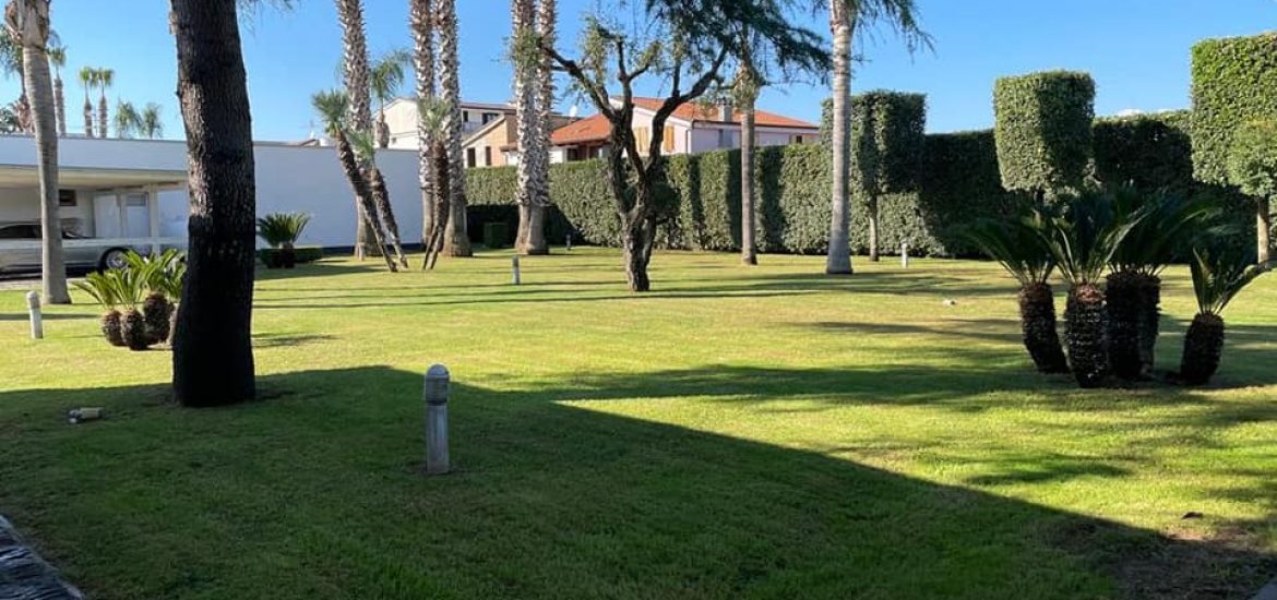 246802758_605369077264924_7704066418212879793_n