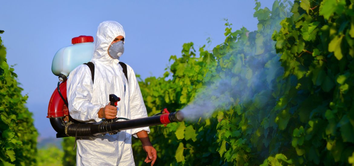 Desinfestazione di ogni genere