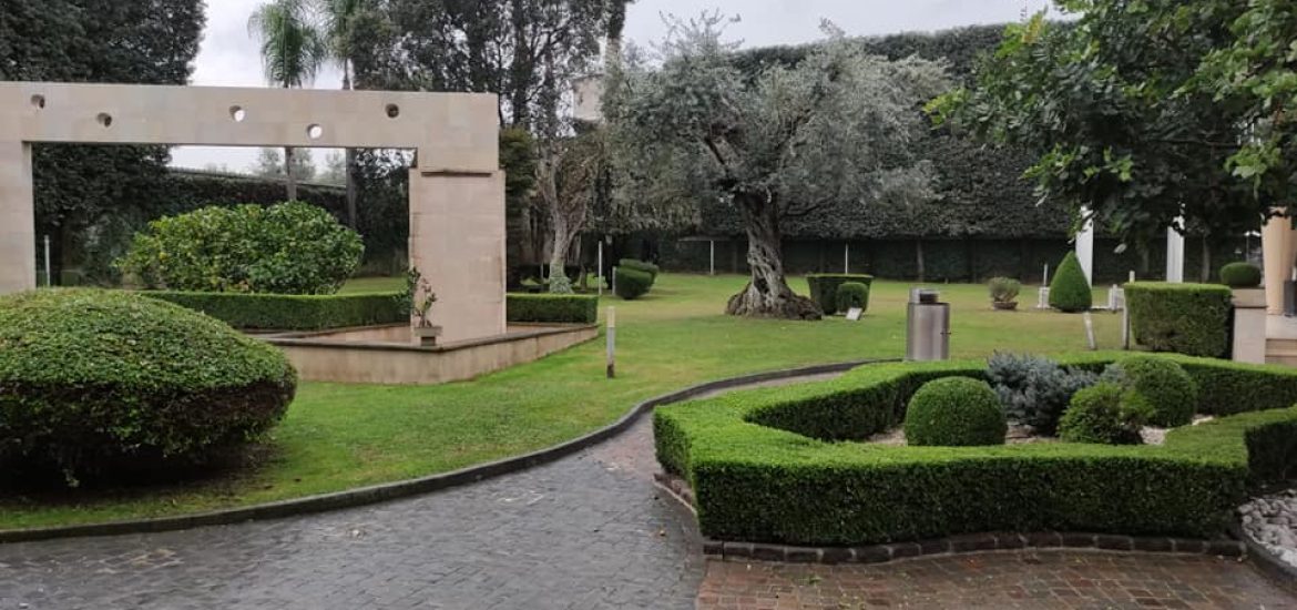 Manutenzione giardini, parchi, ville e verde pubblico